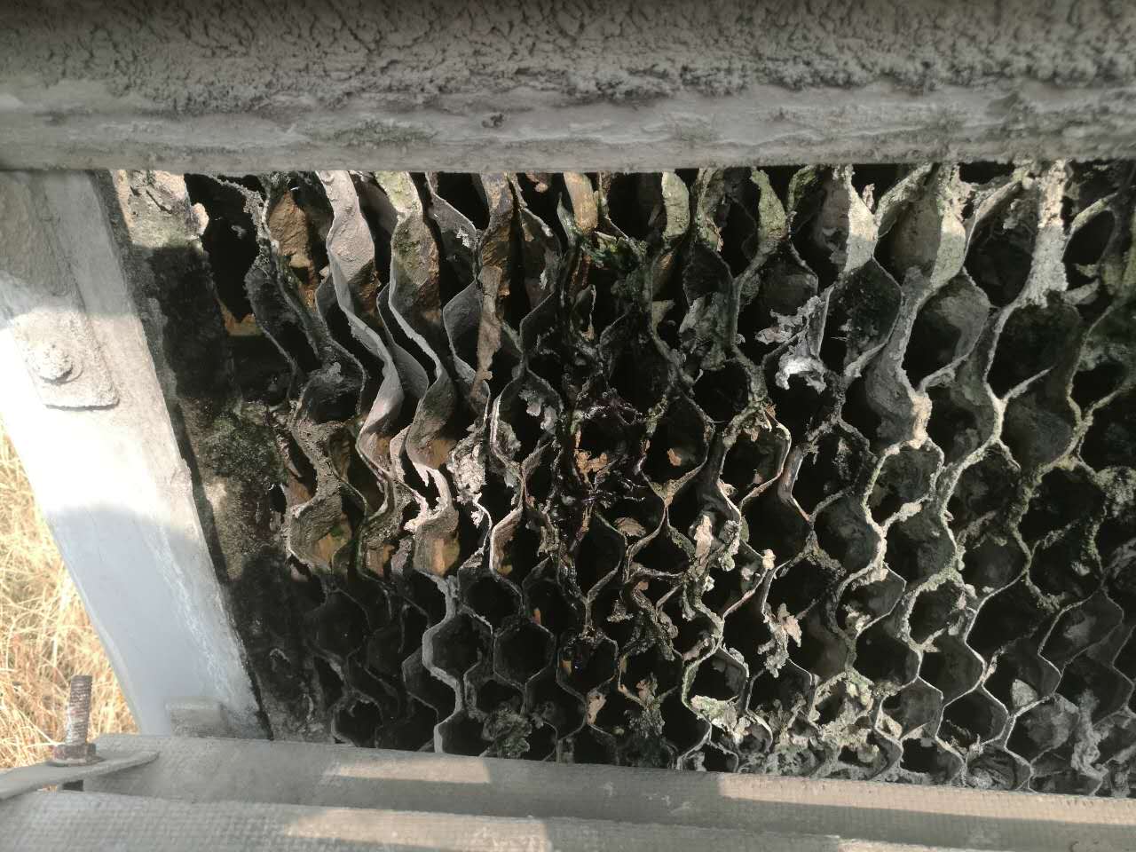 溴化鋰制冷機(jī)維修